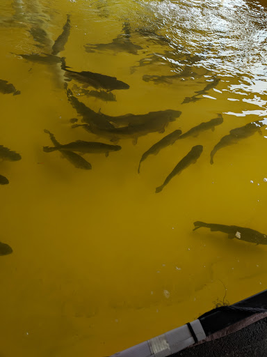 Gun Shop «Hook, Line & Sinker», reviews and photos, 3100 Main St #260, Oakley, CA 94561, USA