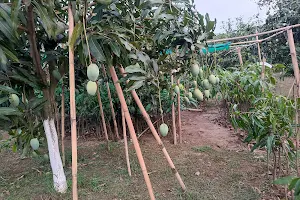 Dayasis Mango Park image