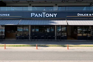 PanTony image