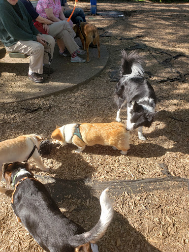 Park «Wallace City Park», reviews and photos, 1600 NW 25th Ave, Portland, OR 97210, USA