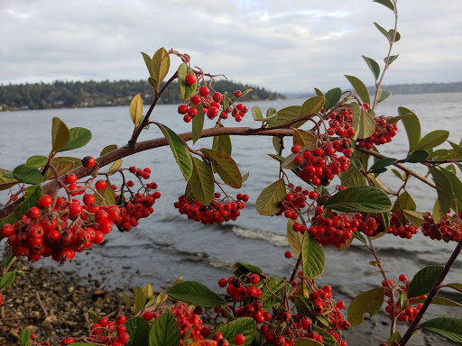 Park «Seward Park», reviews and photos, 5900 Lake Washington Blvd S, Seattle, WA 98118, USA