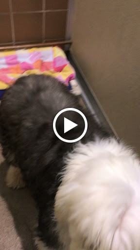 Grocery Store «North Shore Farms», reviews and photos, 770 Port Washington Blvd, Port Washington, NY 11050, USA