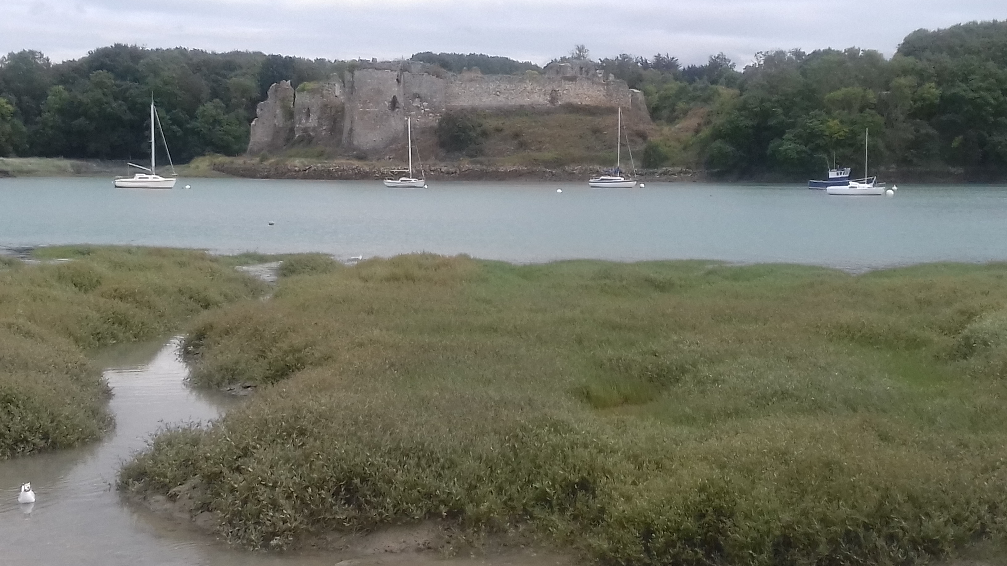 Photo n° 1 de l'avis de guillerm.e fait le 16/08/2019 à 15:53