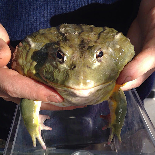 Tropical Fish Store «Fishy Business», reviews and photos, 911 E Church St, Lexington, TN 38351, USA