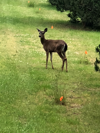 Museum «Naval Undersea Museum», reviews and photos, 1 Garnett Way, Keyport, WA 98345, USA