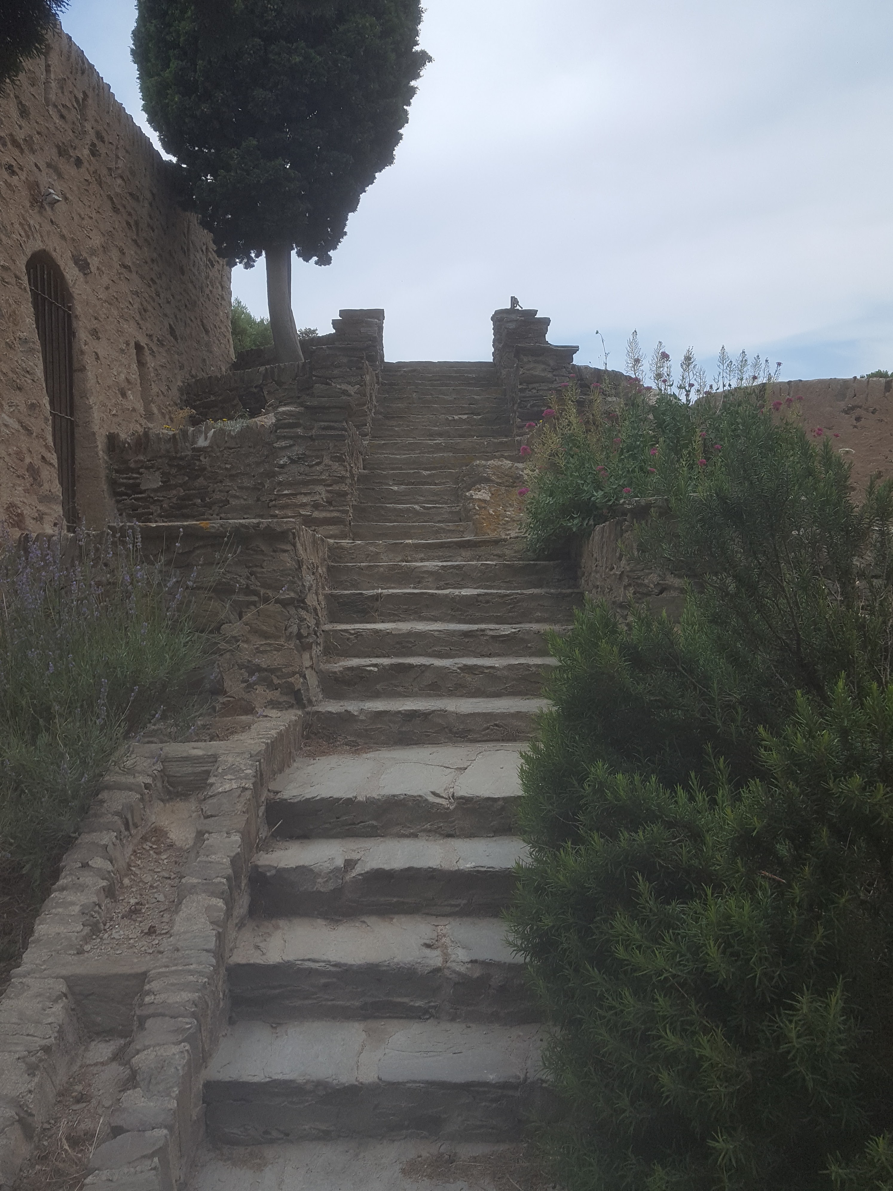 Photo n° 1 de l'avis de Maxime.h fait le 29/06/2018 à 16:07