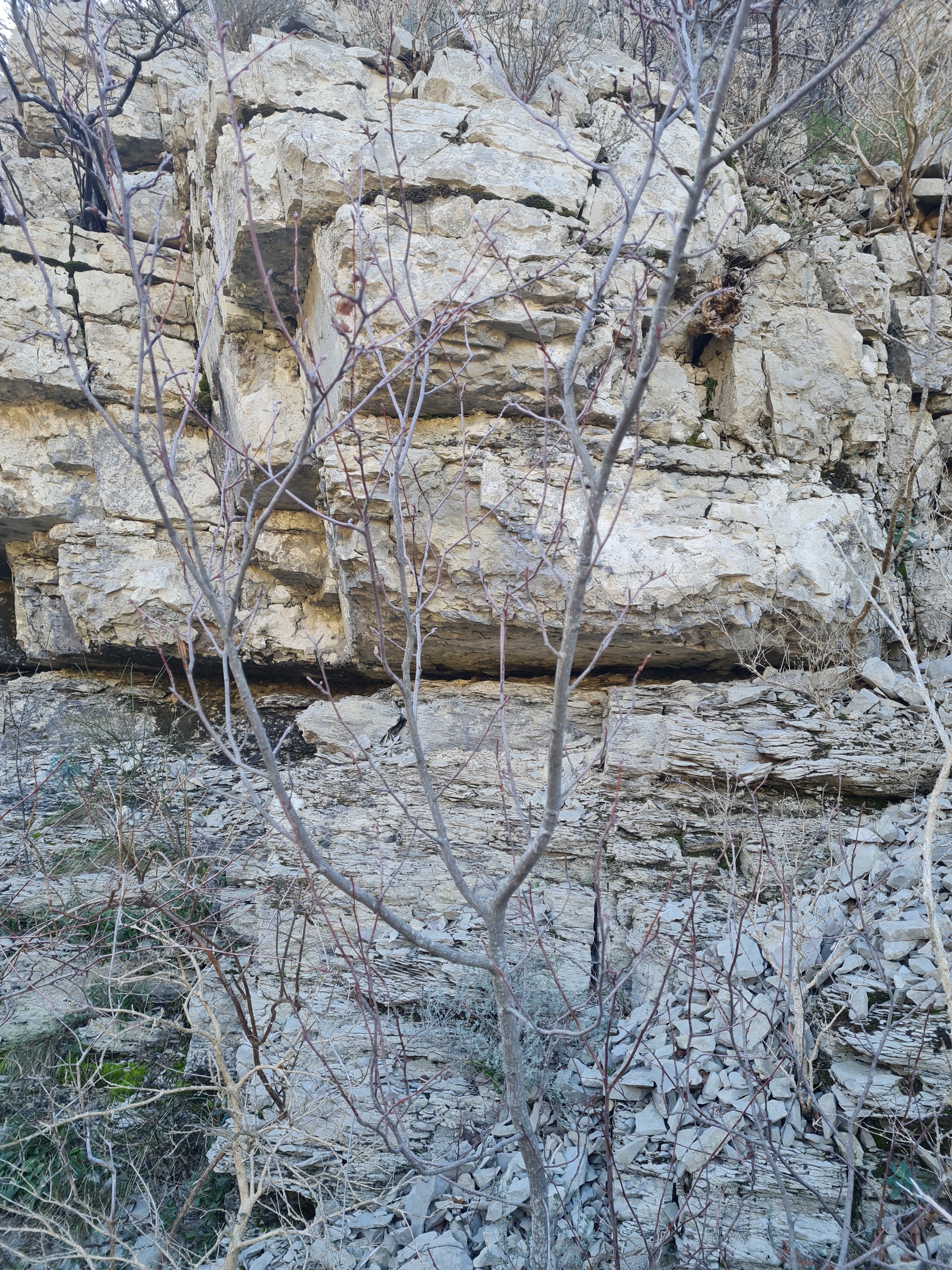 Photo n° 8 de l'avis de Aude.u fait le 30/01/2023 à 16:59