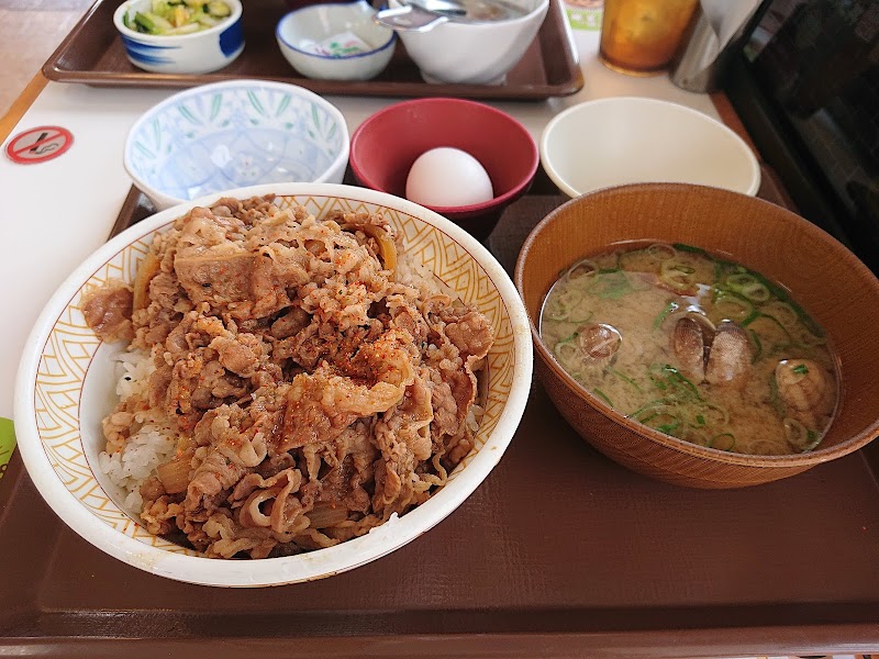 すき家 西脇野村店