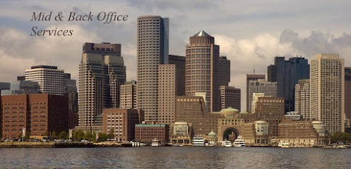 Boston Investors Services Inc