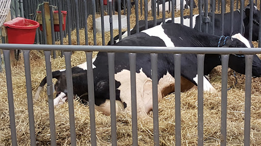 Arena «Utz Arena», reviews and photos, 334 Carlisle Avenue, York, PA 17404, USA