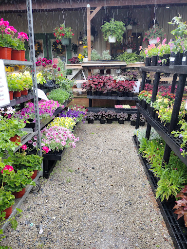 Garden Center «Riverview Tree & Landscaping, Inc.», reviews and photos, 3049 Pricetown Rd, Temple, PA 19560, USA