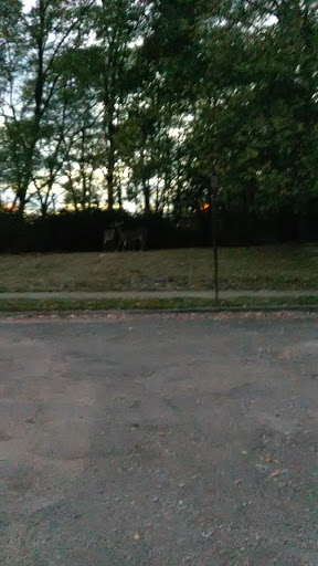 Auto Parts Store «AutoZone», reviews and photos, 2310A Lincoln Way E, Massillon, OH 44646, USA