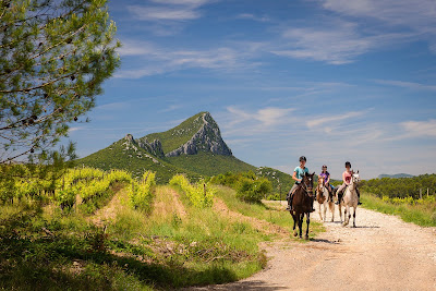 Horse Aventure à Fontanes