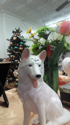 Thrift Store «Montgomery County Thrift Shop», reviews and photos, 7125 Wisconsin Ave, Bethesda, MD 20814, USA