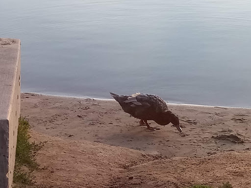 Shopping Mall «Bon Shopping Center», reviews and photos, 2300 N Wahsatch Ave, Colorado Springs, CO 80907, USA