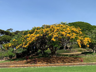 Queen Kapiʻolani Garden