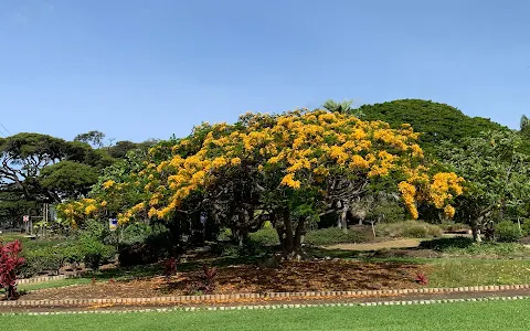 Queen Kapiʻolani Garden image