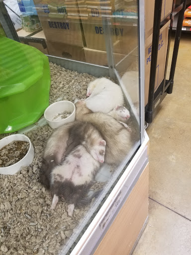 Pet Supply Store «Petco Animal Supplies», reviews and photos, 1141 Wantagh Ave, Wantagh, NY 11793, USA