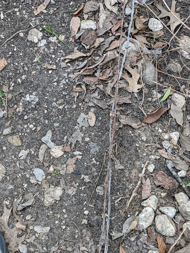 Park «Jane Dubel Park», reviews and photos, 4741 Callaghan Rd, San Antonio, TX 78228, USA