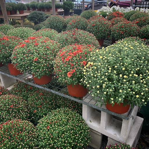 Florist «In The Garden», reviews and photos, 69 Waterwitch Ave, Highlands, NJ 07732, USA