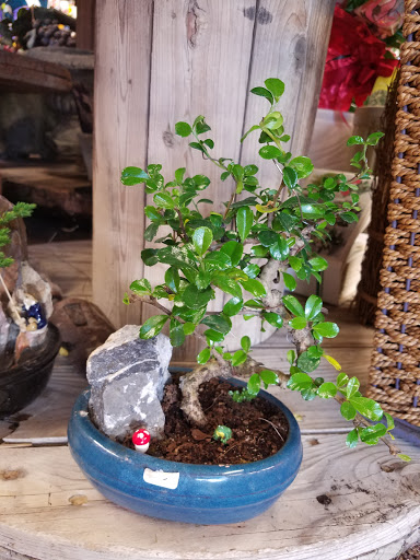 Florist «Little Flower Shop», reviews and photos, 616 High St, Delano, CA 93215, USA