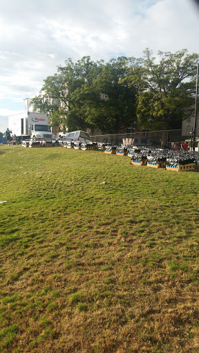 Stadium «BB&T Ballpark», reviews and photos, 324 S Mint St, Charlotte, NC 28202, USA