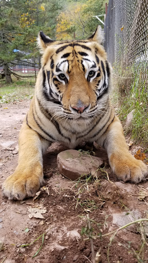 Zoo «Bailiwick Animal Park and Riding Stables», reviews and photos, 118 Castle Rd, Catskill, NY 12414, USA