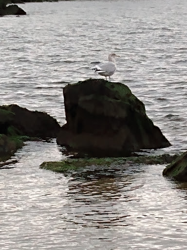 Park «Guardian Park», reviews and photos, Hartshorne Dr, Sandy Hook, NJ 07732, USA