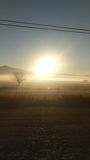 Park «Pena Adobe Regional Park», reviews and photos, 4699 Peña Adobe Rd, Vacaville, CA 95687, USA