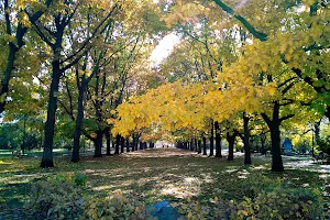 Greater Poland Park image