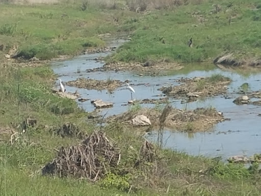 Park «Liberty Park», reviews and photos, 5825 Holiday Ln, North Richland Hills, TX 76180, USA