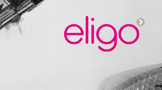 Eligo Recruitment - Employment agency