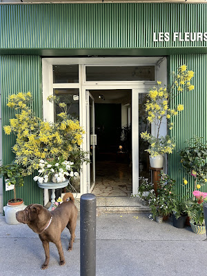 Les Fleurs à Marseille