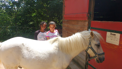 Équitation Haras de Volzac à Saint-Flour