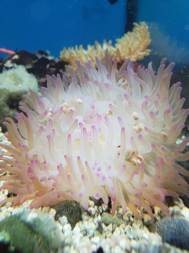 Pet Supply Store «Petco Animal Supplies», reviews and photos, 3731 Gateway Dr, Eau Claire, WI 54701, USA