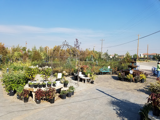 Wholesale plant nursery Reno