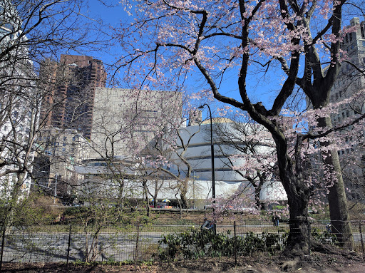 Modern Art Museum «Solomon R. Guggenheim Museum», reviews and photos, 1071 5th Ave, New York, NY 10128, USA