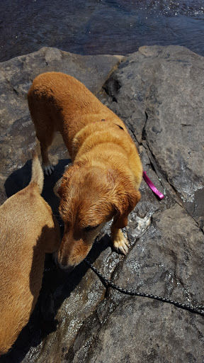 Park «Jones Bridge Park», reviews and photos, 4901 E Jones Bridge Rd, Peachtree Corners, GA 30092, USA