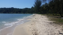Zdjęcie Silver Beach dziki obszar