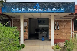 Quality Fish Processing Lanka (Pvt) Ltd image