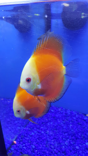 Pet Store «Pet Junction», reviews and photos, 146 NH-108, Dover, NH 03820, USA