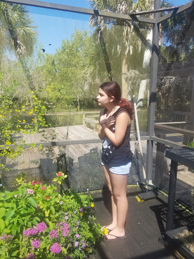 Non-Profit Organization «Sanibel-Captiva Conservation Foundation», reviews and photos, 3333 Sanibel Captiva Rd, Sanibel, FL 33957, USA