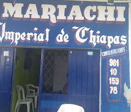 Mariachi Nuevo Imperio photo