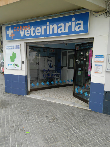 Clinica Veterinaria Vetalys Gelves