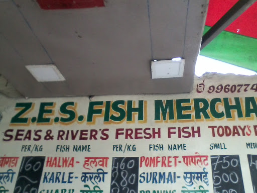 Z E S Fish Merchant