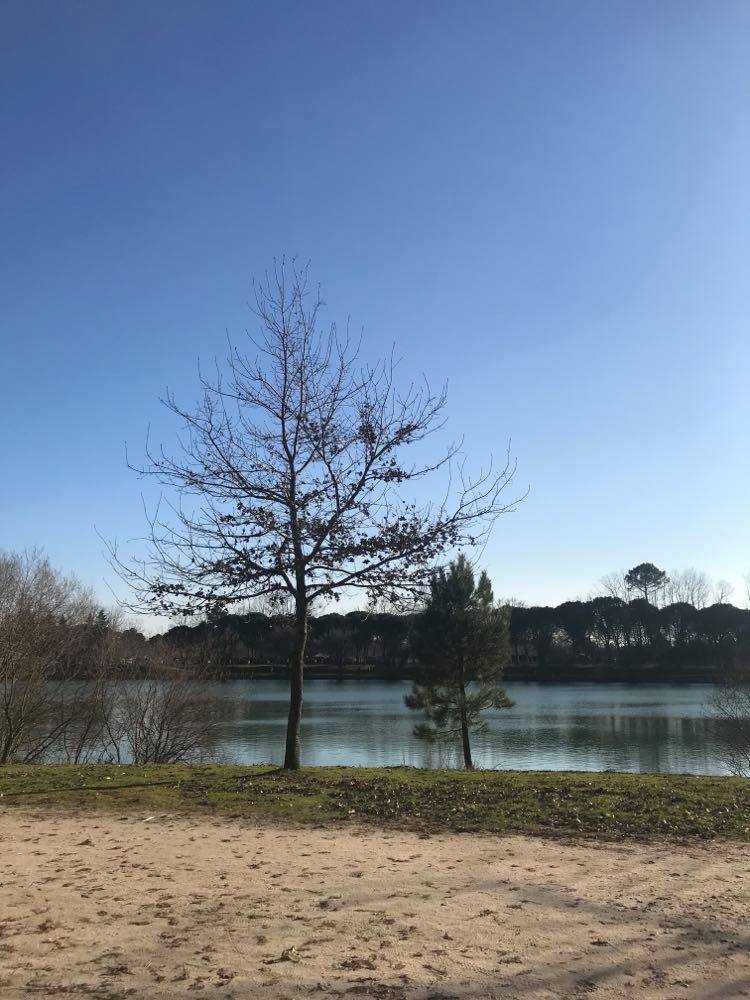 Photo n° 1 de l'avis de Léa. fait le 12/01/2021 à 07:57