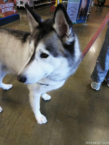 Pet Supply Store «PetSmart», reviews and photos, 745 W Huntington Dr, Monrovia, CA 91016, USA