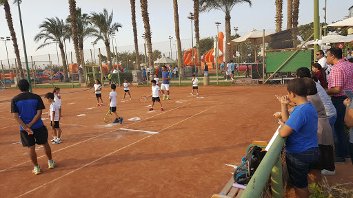 Paddle tennis clubs in Cairo