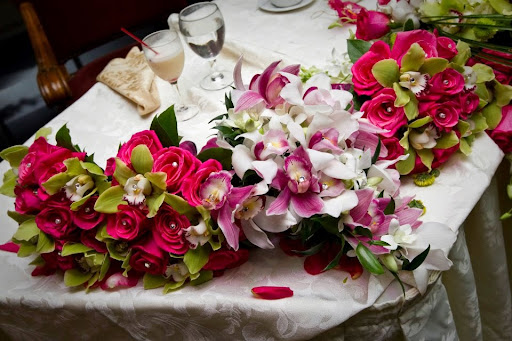 Plant Nursery «A & S Whitestone Nursery», reviews and photos, 2302 Francis Lewis Blvd, Whitestone, NY 11357, USA