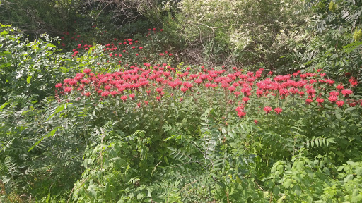 Golf Club «Odana Hills Golf Course», reviews and photos, 4635 Odana Rd, Madison, WI 53711, USA